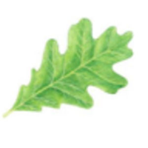 Meet your Posher, Stephen